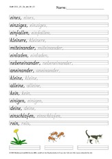 DSS_2S_Bu_ein_Nr_01.pdf